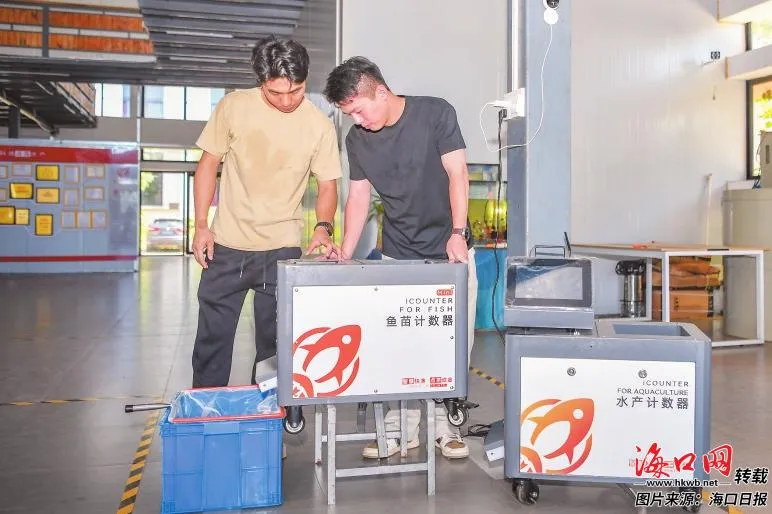 海口数字产业加速跑：数字基建、游戏出海、智能工厂领衔(图4)